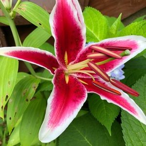 Meet your Posher, Mariam